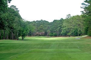 CC Of NC (Dogwood) 12th